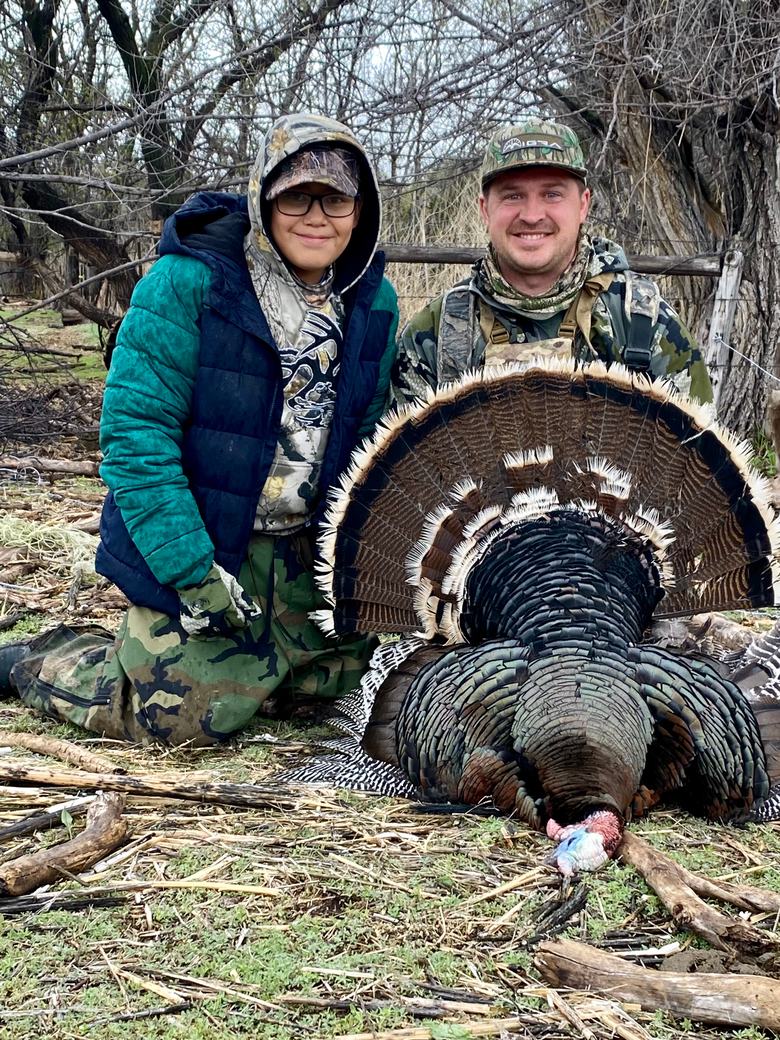 Merriam's gobbler with its white-tipped fan displayed