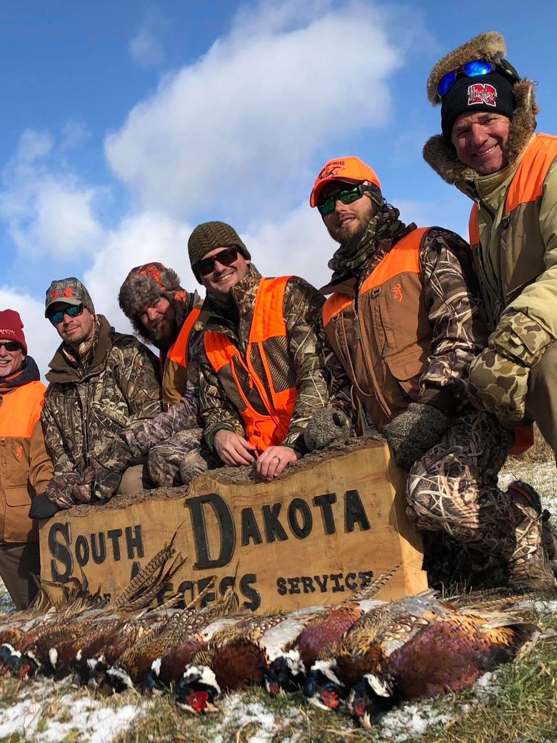 Row of rooster pheasants on a South Dakota hillside