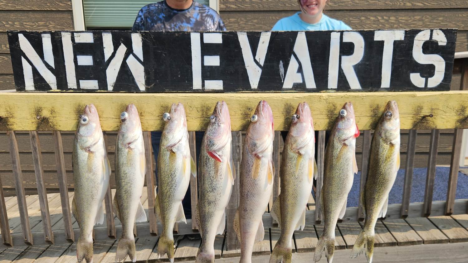 Stringer of Missouri River walleye hanging at the landing
