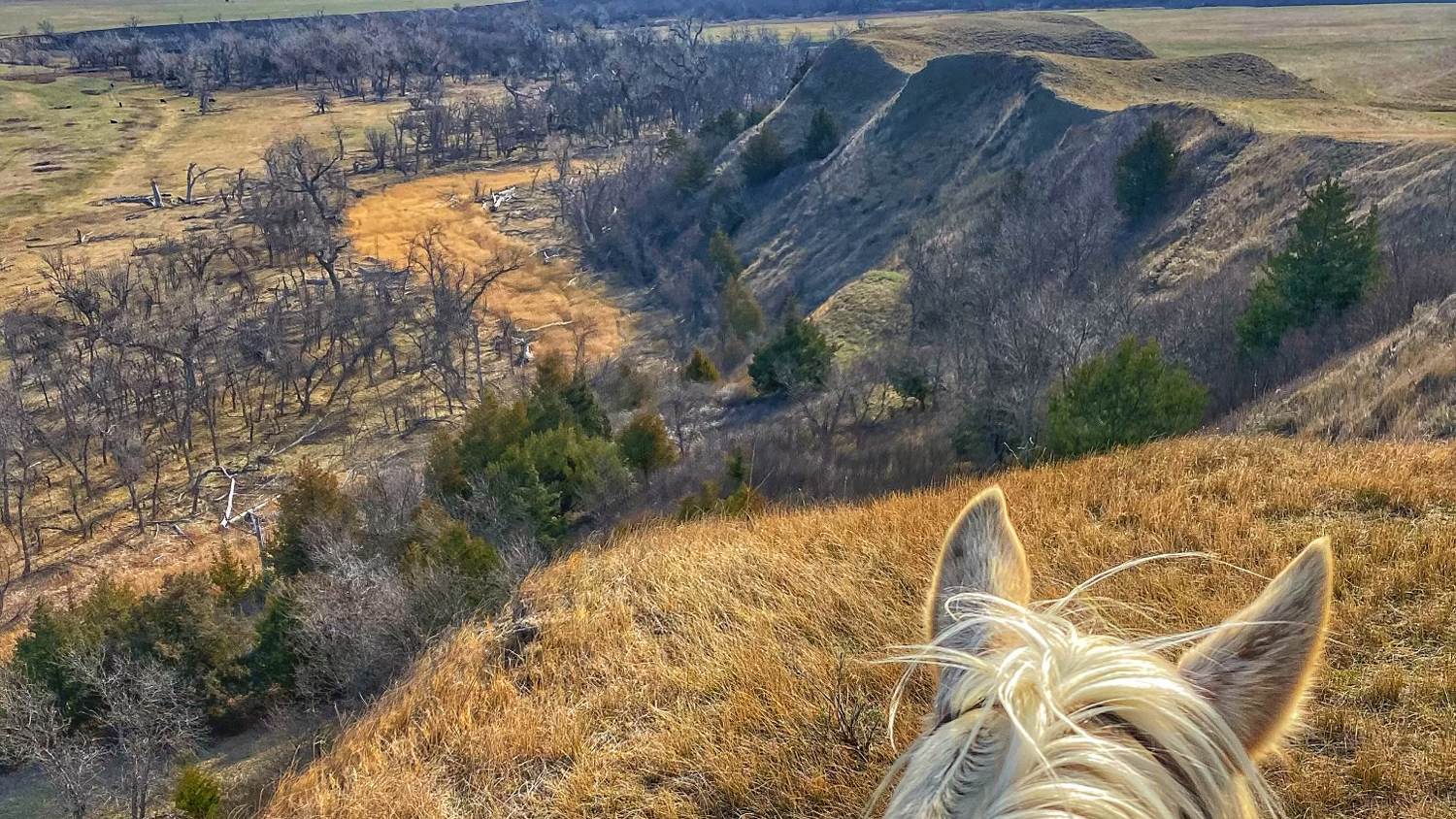 Rifle resting on a badlands overlook above broken country