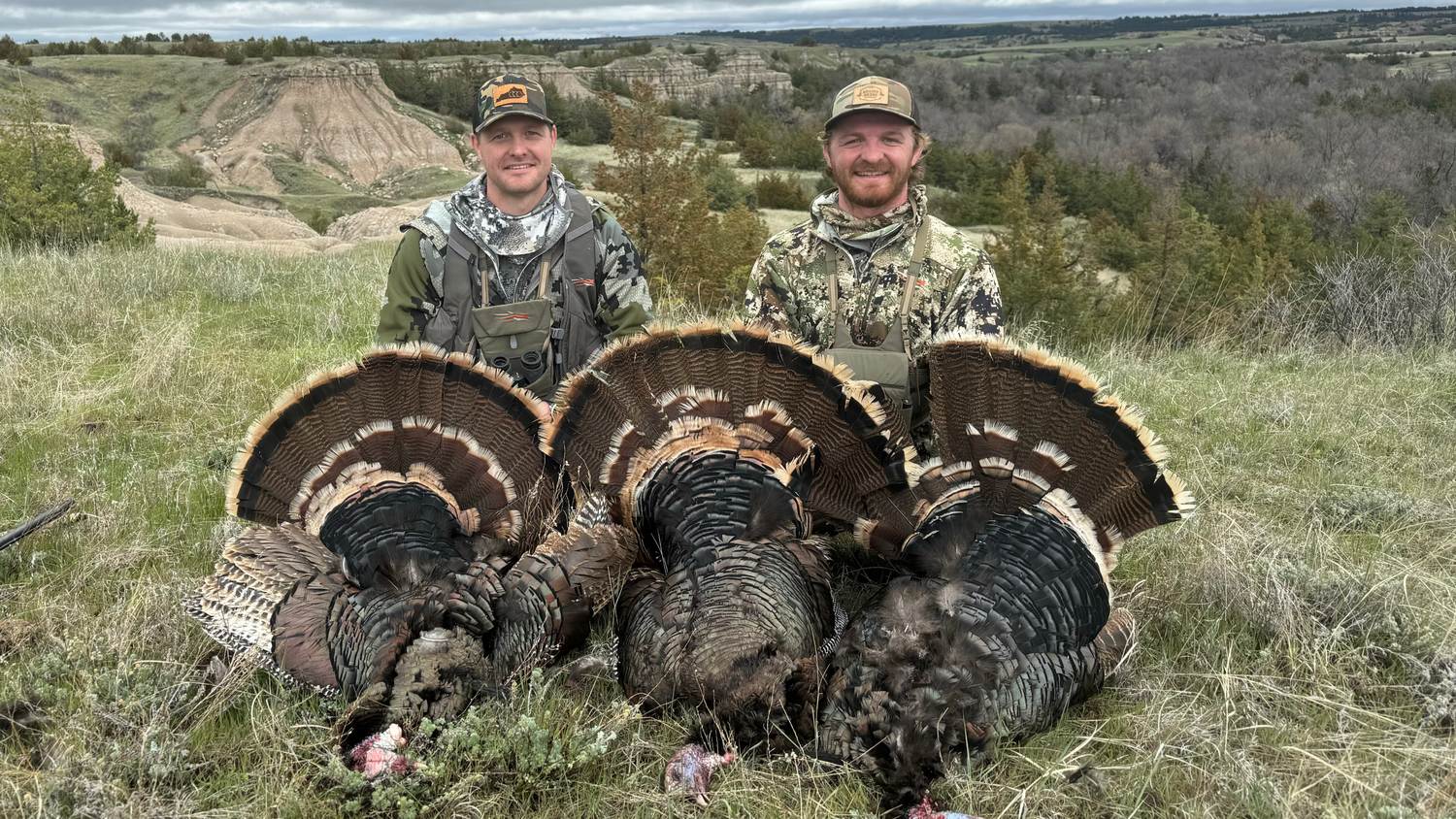 Two hunters with Merriam's gobblers after a spring hunt