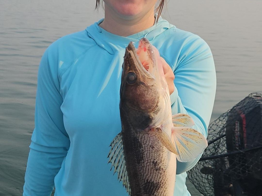 Angler holding a walleye caught on a guided Missouri River trip