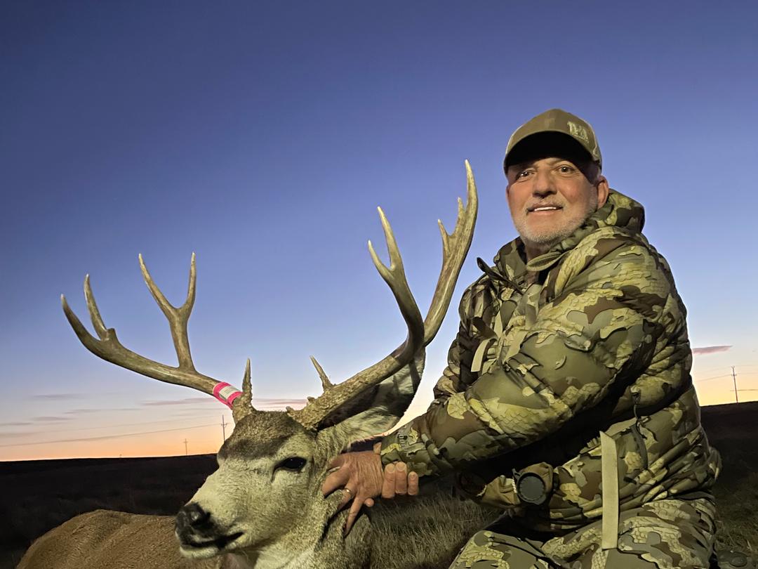 Mule deer buck taken at sunset on the open prairie