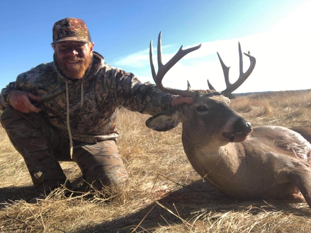 Mature mule deer buck alert in grassy private-ranch terrain