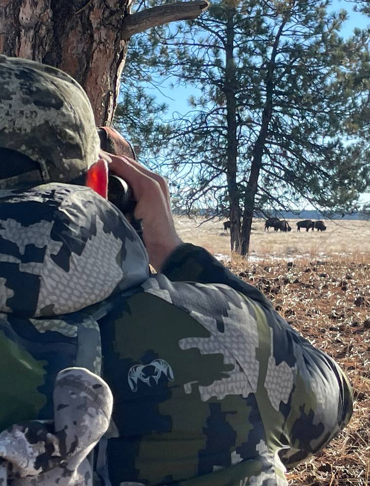 Hunter calling from the base of a pine with turkeys working in behind